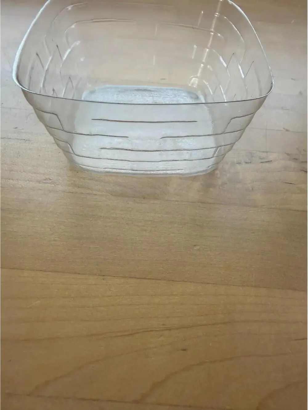 1996 Longaberger Horizon of Hope Basket Clear Plastic Protector #45900